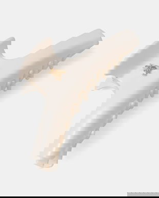 Patrizia Pepe agrafa de par