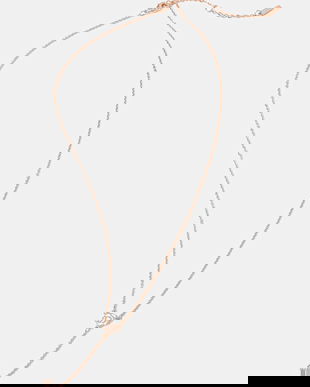 Aldo colier FLORABOW