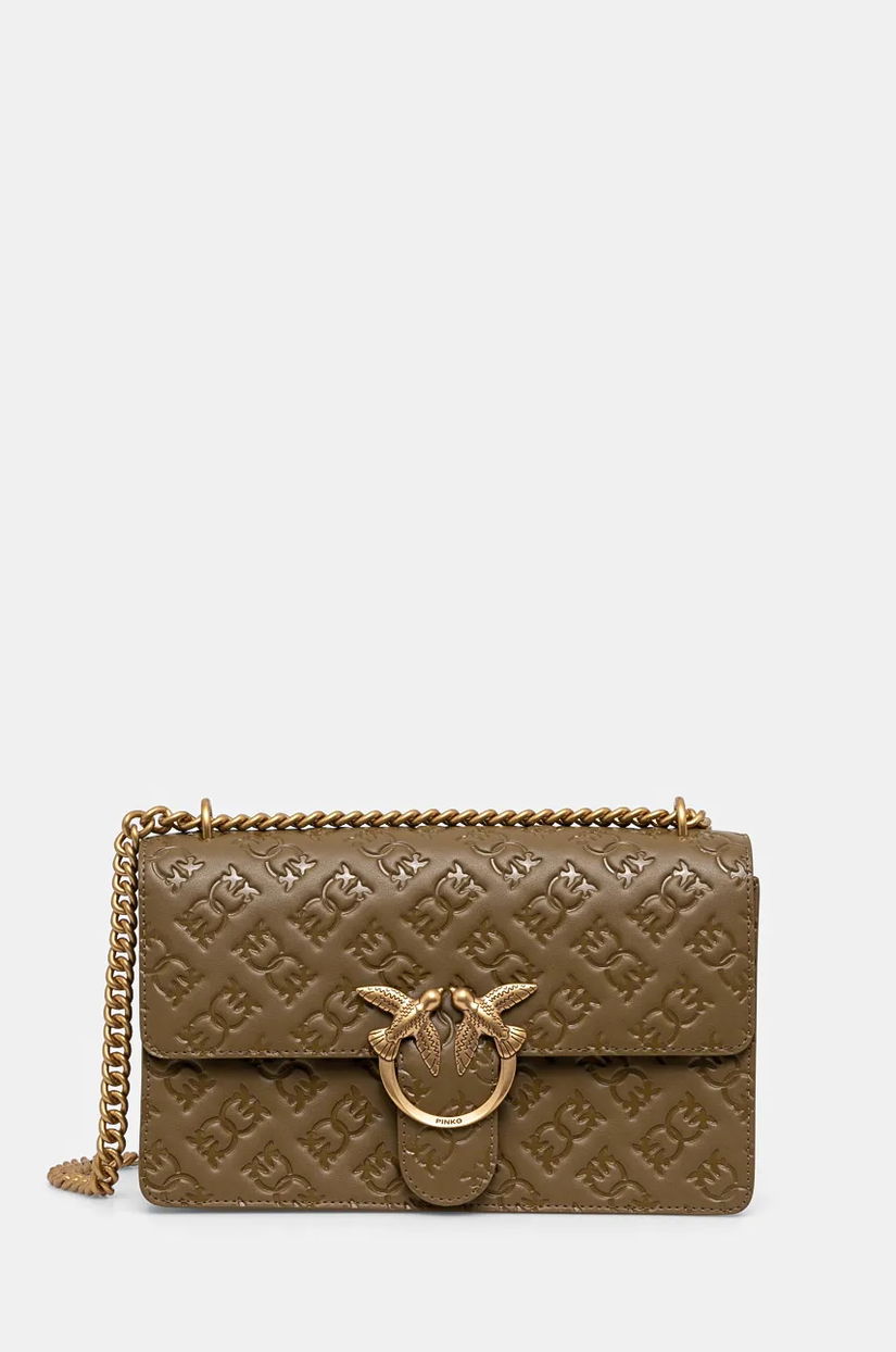 Pinko poseta de piele