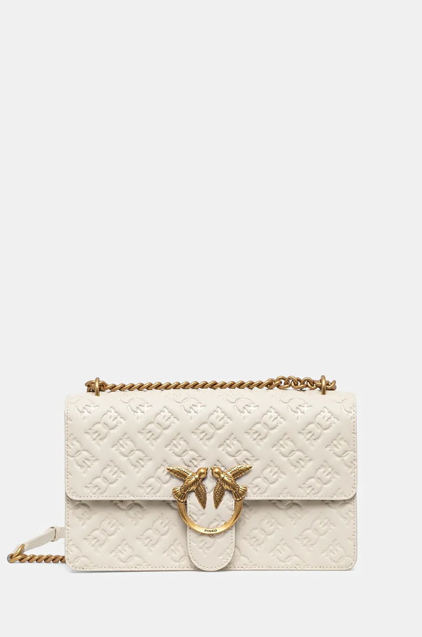 Pinko poseta de piele