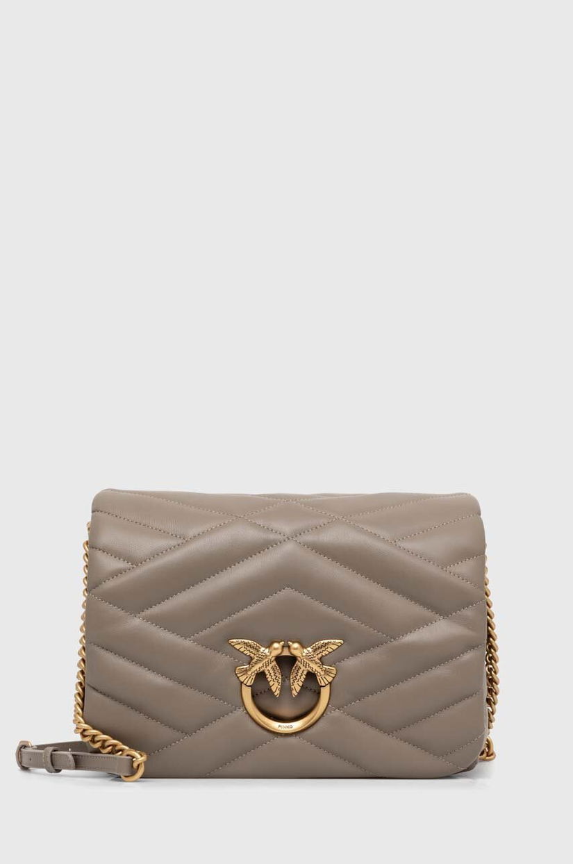 Pinko poseta de piele