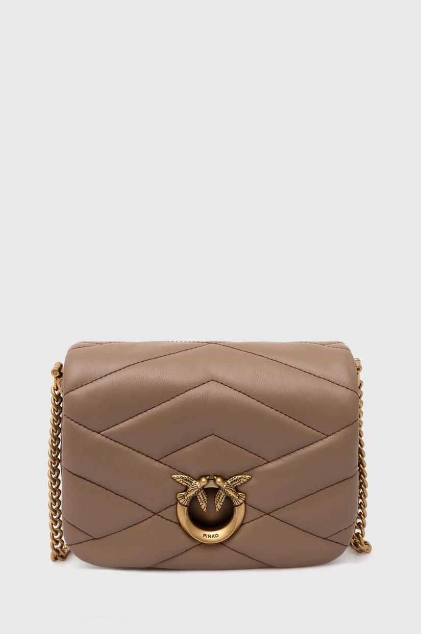 Pinko poseta de piele