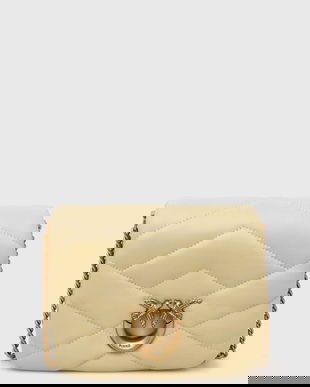 Pinko poseta de piele