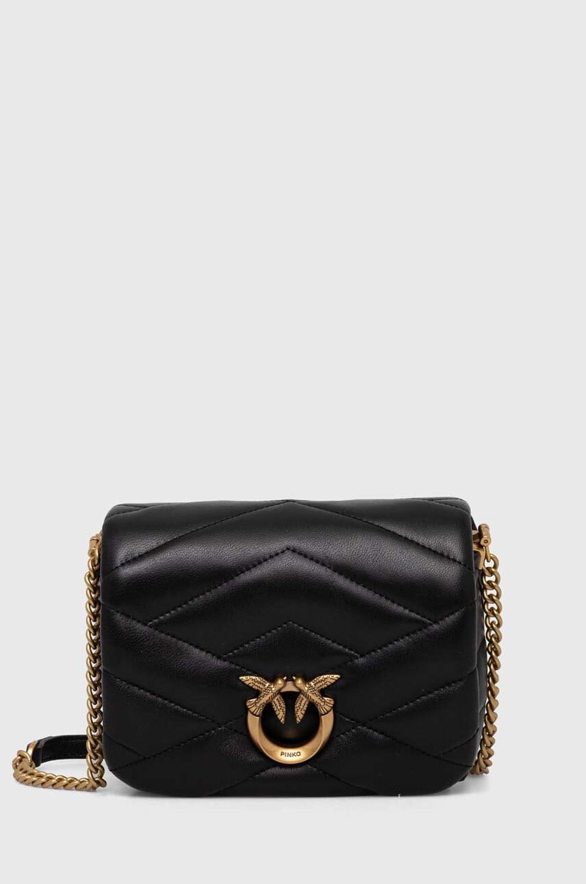 Pinko poseta de piele