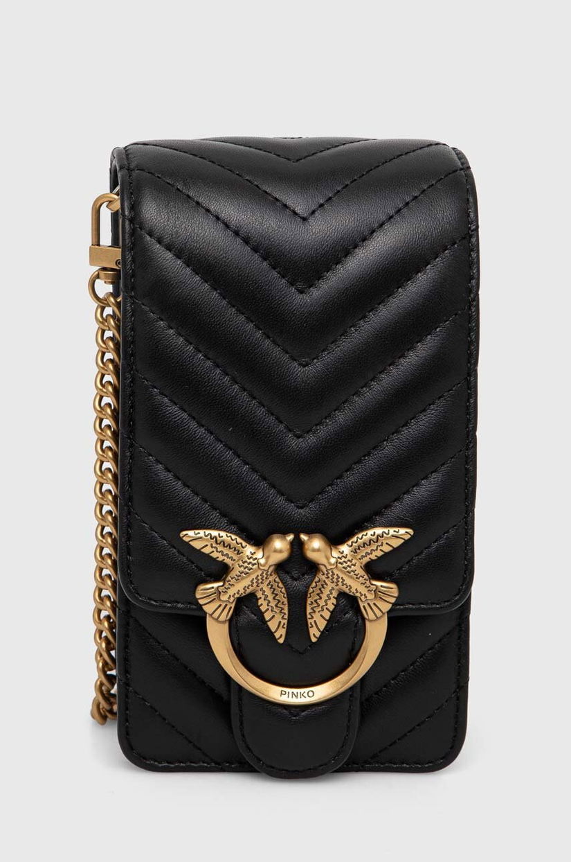 Pinko poseta de piele