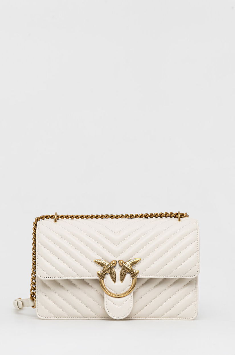 Pinko poseta de piele