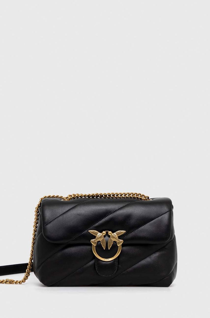 Pinko poseta de piele