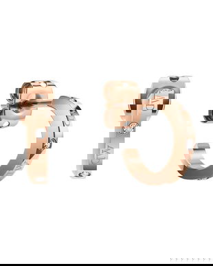 Daniel Wellington cercei