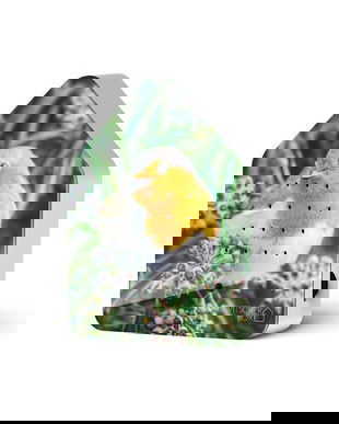 Audiobox Sunete Ambientale Pasari de Padure Robin, Senzor Miscare, 120 sec, Baterii Incluse