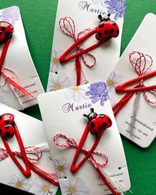Martisor, clama cu buburuza