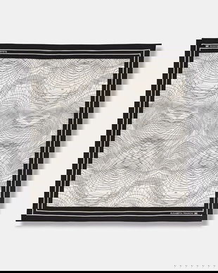 Elisabetta Franchi eșarfă de damă din mătase