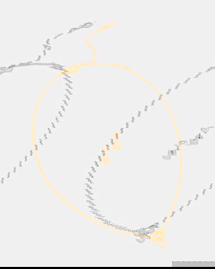 Coach colier si cercei