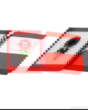 Mărțișor Broșă Floare Roșie Tip Floarea-Soarelui