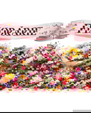 Banner Florarie PVC 440g 80&times;110 cm &ndash; banner publicitar exterior