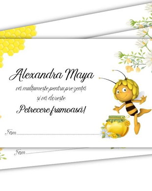 Plic de bani albinuța Maya