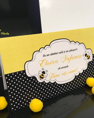 Plic de bani Albinuță botez fetițe