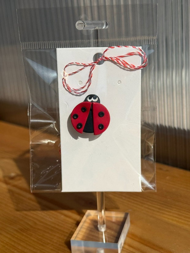 Martisor brosa buburuza