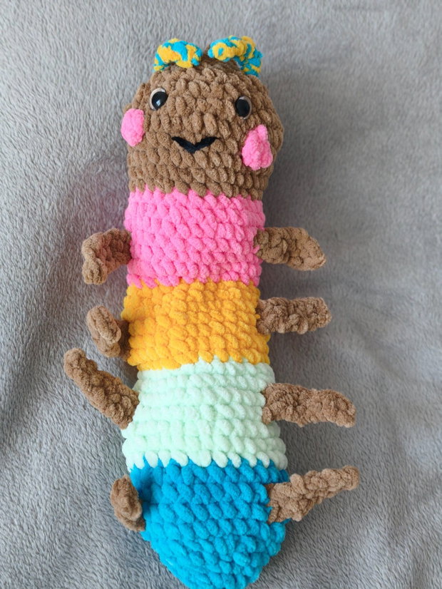 Omida colorata