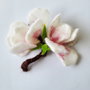 Magnolie impaslita - Brosa