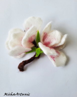 Magnolie impaslita - Brosa