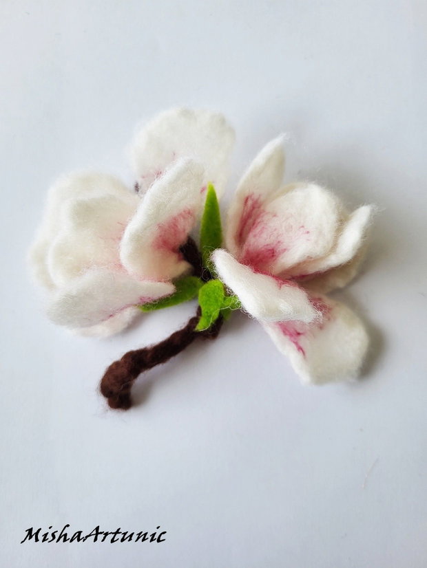 Magnolie impaslita - Brosa