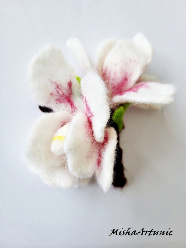 Magnolie impaslita - Brosa