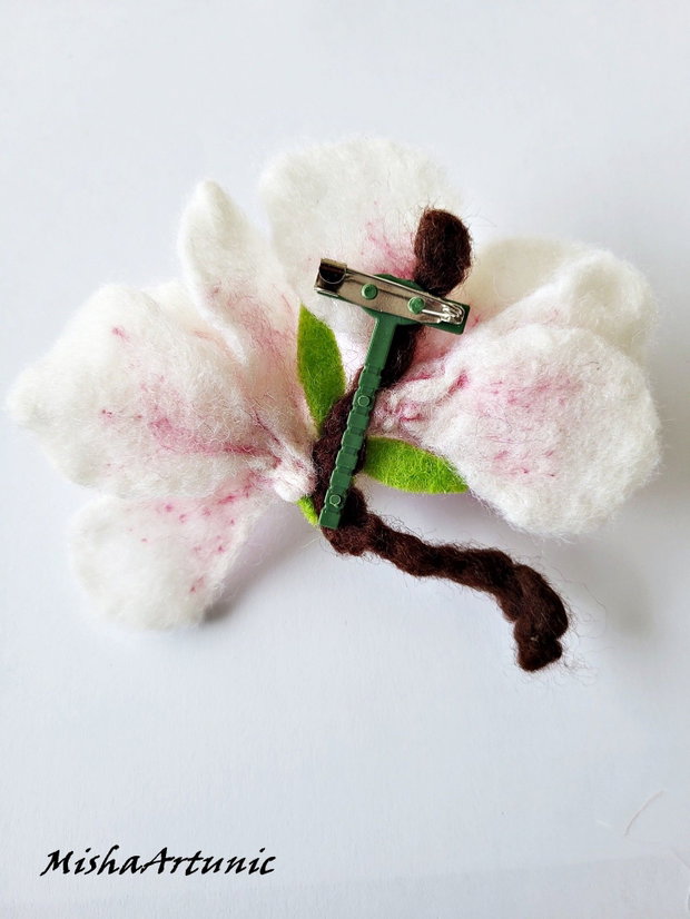 Magnolie impaslita - Brosa