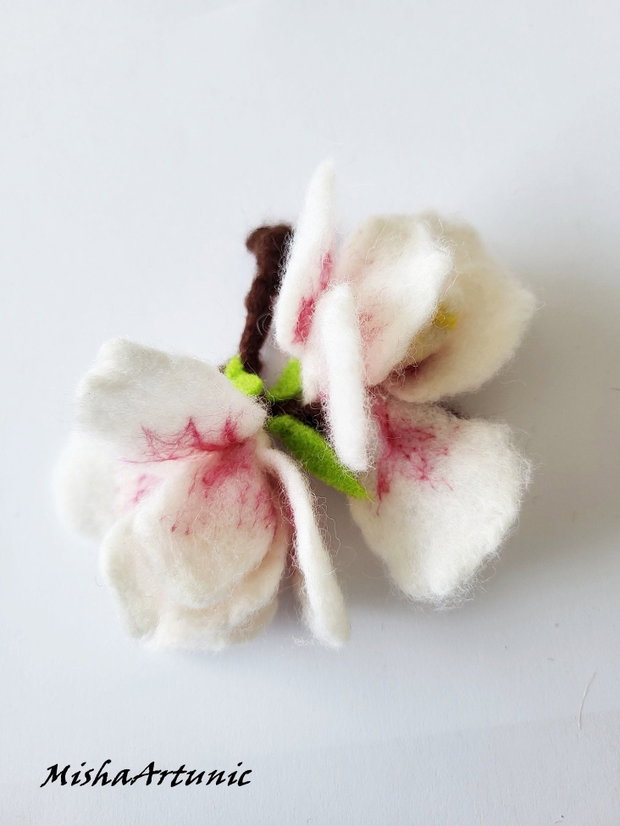 Magnolie impaslita - Brosa