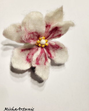 Magnolie impaslita - Brosa