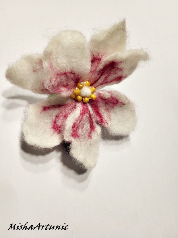 Magnolie impaslita - Brosa