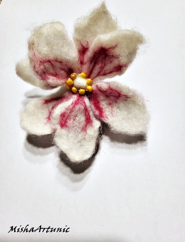 Magnolie impaslita - Brosa