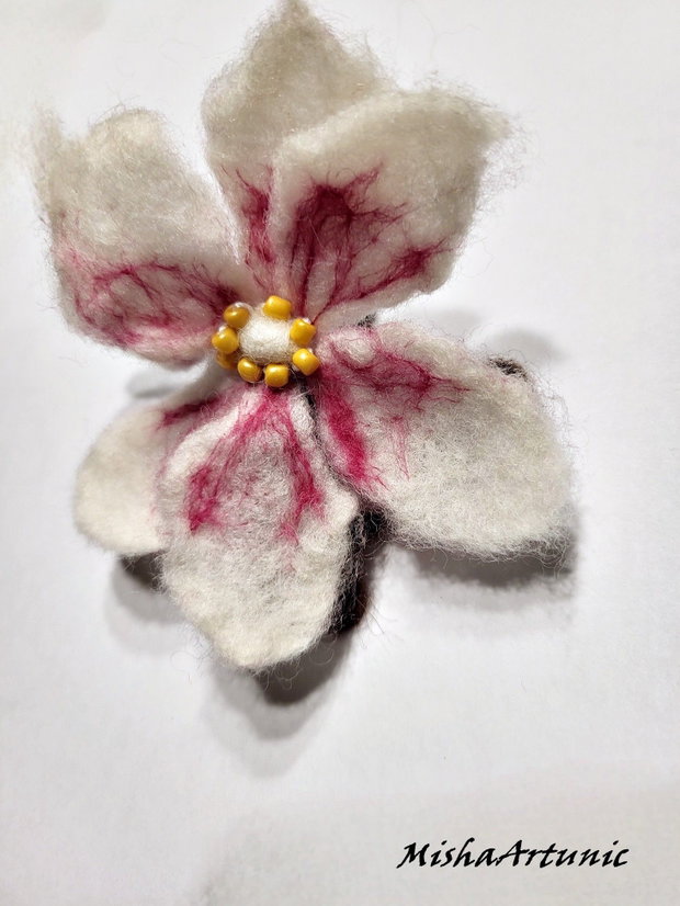 Magnolie impaslita - Brosa