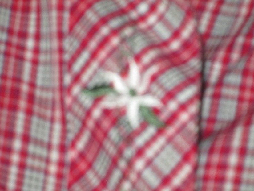 camasa  carouri dame Landhaus L