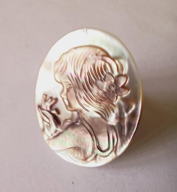 Abalone Shell si Sidef