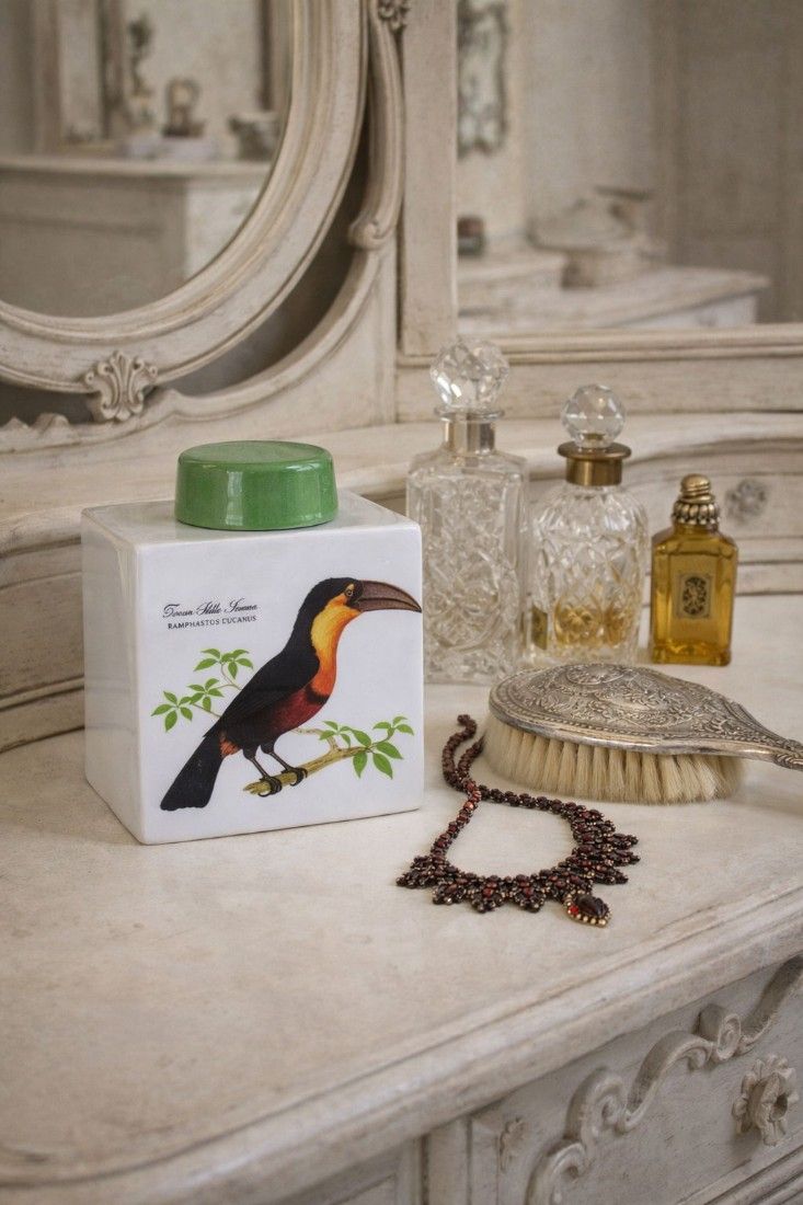 Cutie din portelan decorata cu tucan