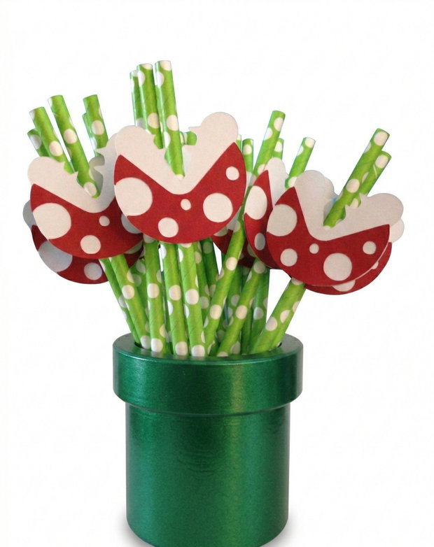 Set paie suc decorate Super Mario