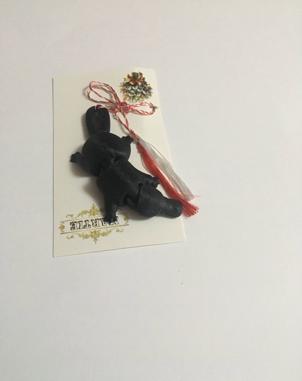 Micul Ornitorinc-Mărțișor Minimalist & Pin Urban