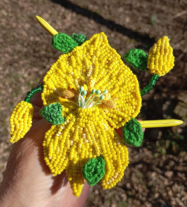 La ginestra- floarea deșertului