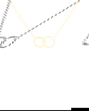 Daniel Wellington colier Elan Unity