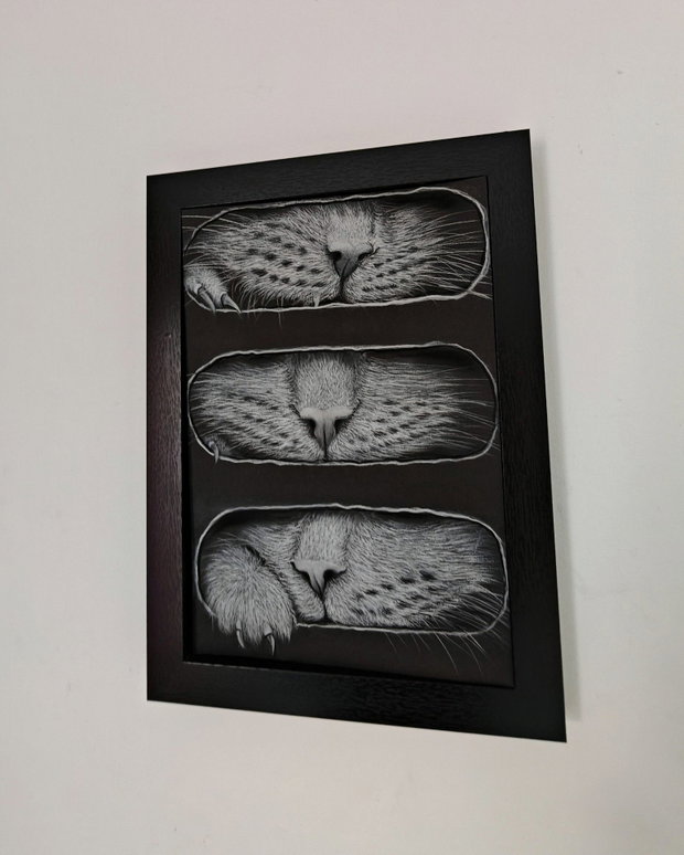 Tablou ilustrație "Why cats love boxex"