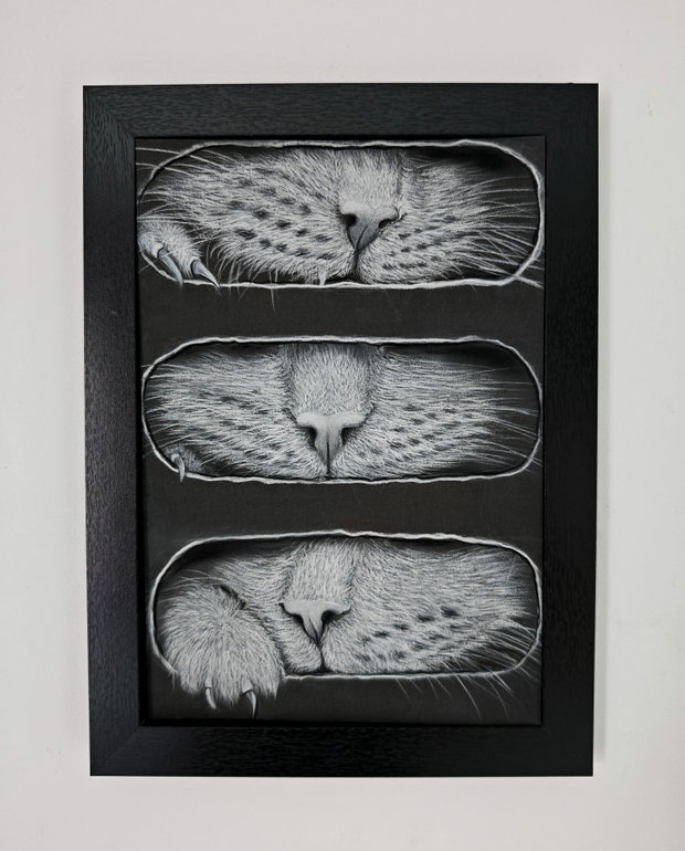 Tablou ilustrație "Why cats love boxex"