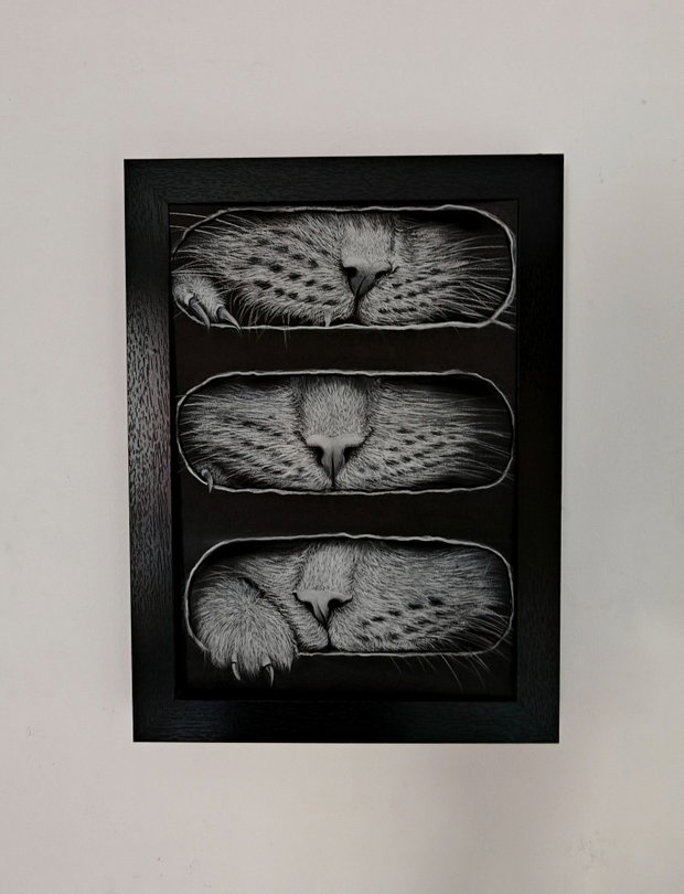 Tablou ilustrație "Why cats love boxex"