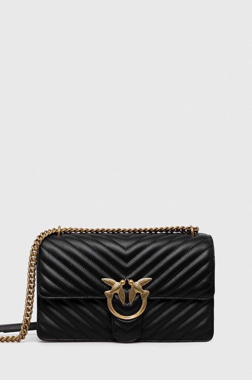 Pinko poseta de piele