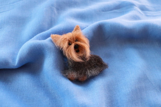 Brosa `Yorky`