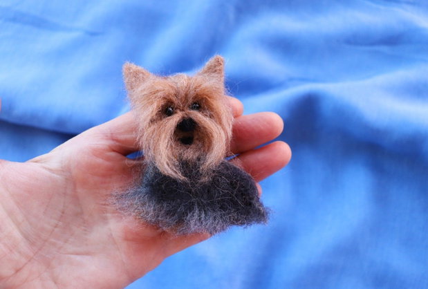 Brosa `Yorky`