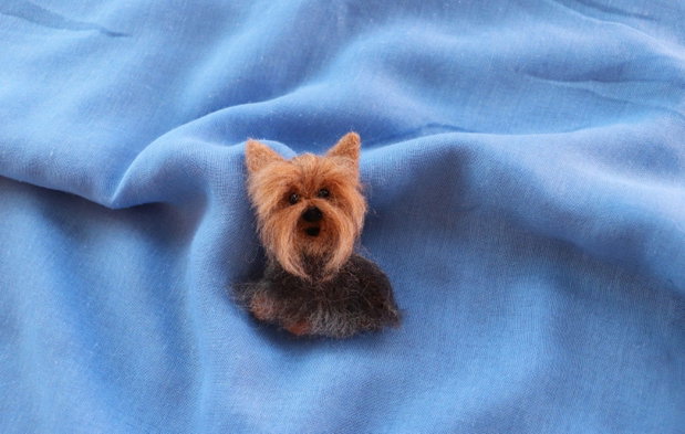 Brosa `Yorky`