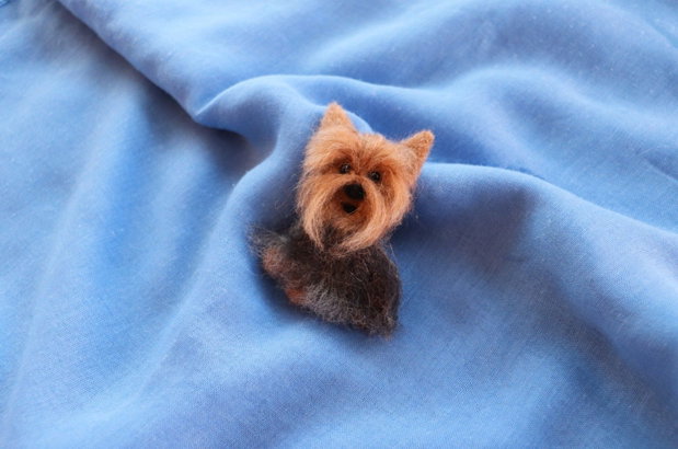 Brosa `Yorky`