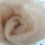 36  - LANA CARDATA