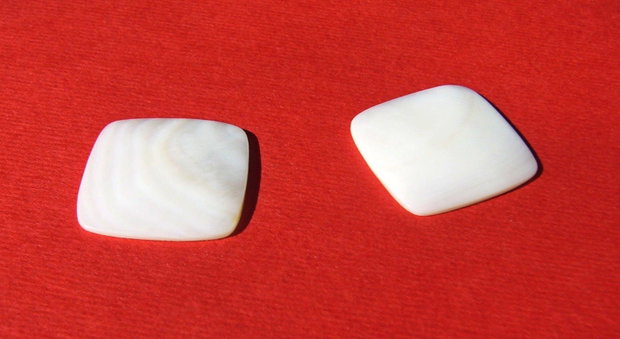 (2 bucati) Sidef NATURAL cabochon 23x23x2.5 mm