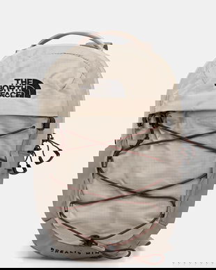 The North Face rucsac Borealis Mini